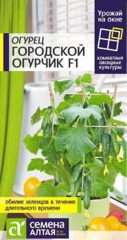 Огурец Городской Огурчик F1 /5шт сер.Урожай на окне /скороспелый 