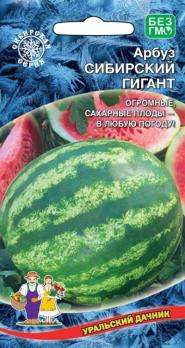 Арбуз Сибирский Гигант 10шт холодостойкий