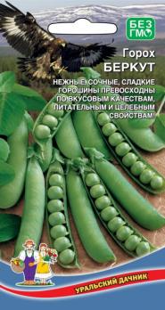 Горох Беркут  (Популярный, с дружным формированием урожая, устойчив к полеганию)