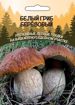 Гриб Березовый БЕЛЫЙ (ССПК) очень высокие вкусовые и питательные качества
