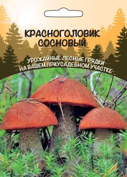 Гриб КРАСНОГОЛОВИК Сосновый (ССПК) отличный вкус