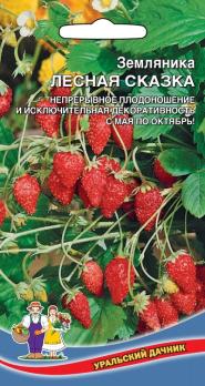 Земляника альпийская Лесная сказка  (Непрерывное плодоношение и исключительная декоративность с мая по октябрь)