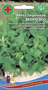 Мята перечная Морозко
