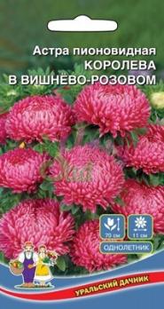 Астра Королева В Вишнево-Розовом пионовидная /однолетник