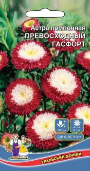 Астра Превосходный Гасфорт помпонная /однолетник