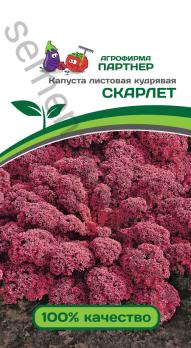 Капуста листовая СКАРЛЕТ кудрявая 0,3г позднеспел
