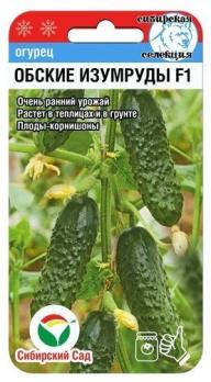Огурец Обские Изумруды F1 /7шт скороспел,корнишон