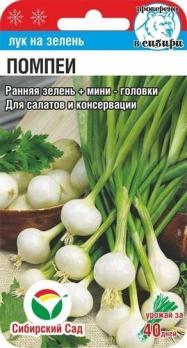 Лук на зелень Помпеи 0,5гр очень ранний