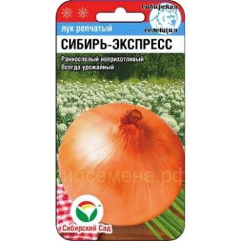 Лук репч. Сибирь-Экспресс 1гр раннеспелый 
