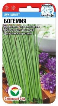Лук шнитт Богемия 0,5гр на зелень