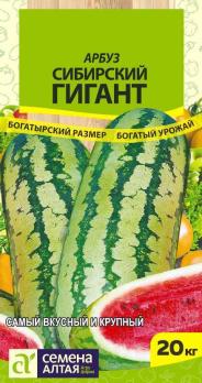 Арбуз Сибирский Гигант 1гр среднеран сер.СИБИРСКИЕ ГИГАНТЫ!