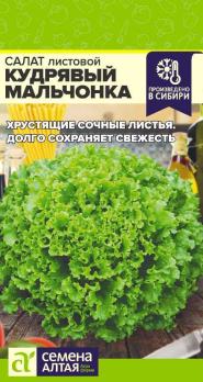 Салат Кудрявый Мальчонка 0,5гр /среднепоздний листовой сорт