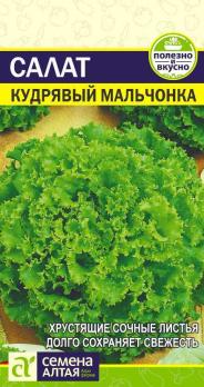 Салат Кудрявый Мальчонка 0,5гр среднепоздн
