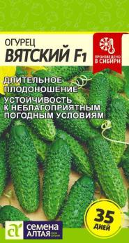 Огурец Вятский F1 /6шт раннеспелый