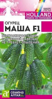 Огурец Маша F1 /5 шт ультраскороспел сер.Seminis (Голландия)