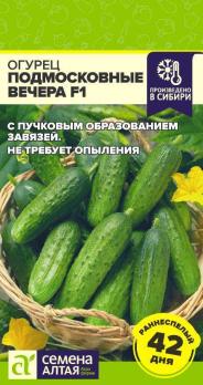 Огурец Подмосковные Вечера F1 5шт /раннеспелый партенокарпический