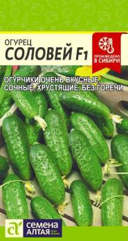 Огурец Соловей F1 /0,3гр среднеранний,пчелоопыл