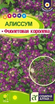 Алиссум Фиолетовая Королева 0,05гр /однолетник