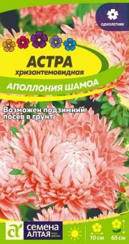 Астра Аполлония Шамоа хризантемовидная 0,2 гр /однолетник