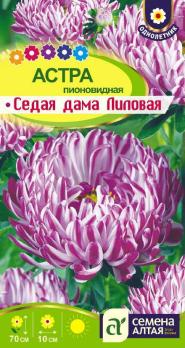 Астра Седая Дама Лиловая 0,2гр /однолетник