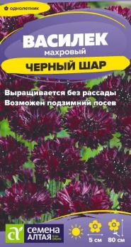 Василек Черный Шар 0,3гр махровый /однолетник