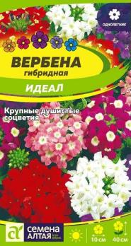 Вербена Идеал гибридная 0,05гр /однолетник