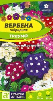 Вербена Триумф гибридная 0,05гр сер.Низкорослые гиганты /однолетник 