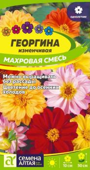 Георгина Махровая Смесь Н50см Ø10см 0,2г /однолетник