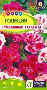 Годеция Махровые Гиганты Смесь Н60см 0,2г /однолетник