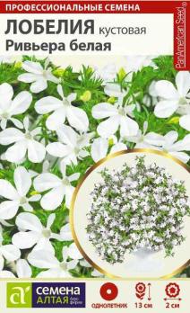 Лобелия Ривьера белая кустовая 8шт /однолетник