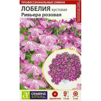 Лобелия Ривьера розовая кустовая 8шт 