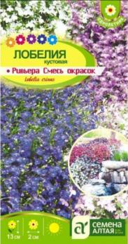 Лобелия Ривьера Смесь окрасок кустовая 8шт