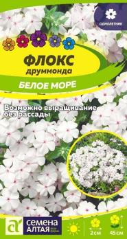 Флокс друммонда Белое Море 0,1гр /однолетник