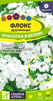 Флокс друммонда Красотка в Белом 0,05гр Н25см /однолетник
