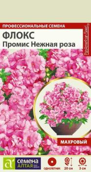 Флокс Промис Нежная Роза махровый 5шт Н20см сер.Професиион.семена /однолетник