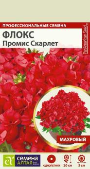 Флокс Промис Скарлет махровый 5шт Н20см /однолетник