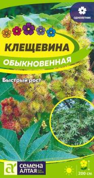 Клещевина Обыкновенная 3шт /однолетник