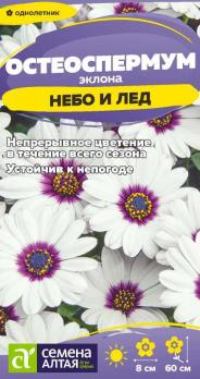 Остеоспермум Небо и Лед 0,1гр низкорослая /однолетник