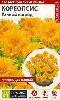 Кореопсис Ранний Восход крупноцв.10шт Н60см сер.Профессион.семена /многолетник 