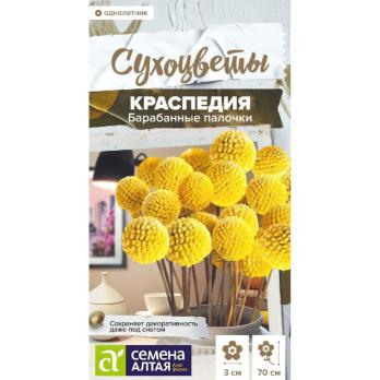 Краспедия Барабанные Палочки шаровидная 0,05гр сер.Сухоцветы /однолетник