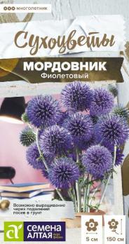 Мордовник Фиолетовый 0,2гр сер.Сухоцветы /многолетник