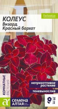 Колеус Визард Красный Бархат 5шт сел.PanAmerican /комнатный