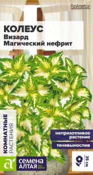 Колеус Визард Магический Нефрит 5шт сел.PanAmerican /комнатный