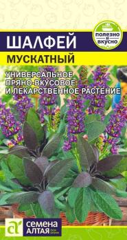 Шалфей Мускатный 0,1гр /многолетнее пряно-ароматическое растение