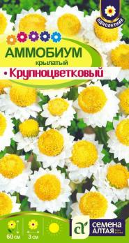 Аммобиум Крупноцветковый крылатый 0,2гр /однолетник
