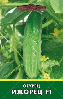 Огурец Ижорец F1 /ультраскороспел,партенок