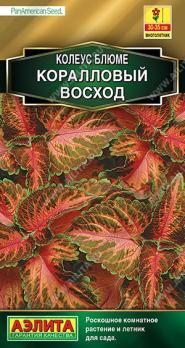Колеус Блюме Кораловый Восход 10шт сел.PanAmerican Seed Золотая сер /многолетник