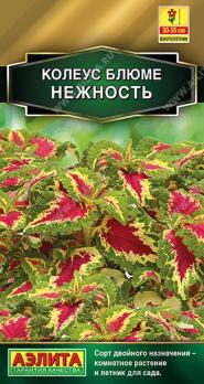 Колеус Блюме Нежность 5шт Н35 Золотая сер /многолетник