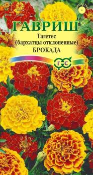 Бархатцы Брокада 0,3гр смесь (Тагетес) Н22 отклоненные /однолетник