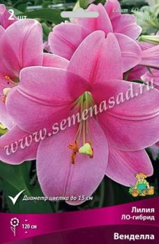 Лилия ЛО-гибрид Венделла 14/16 (2шт) 120см